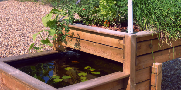 bassin-aquaponique un potager en toute saison grace à votre paysagiste