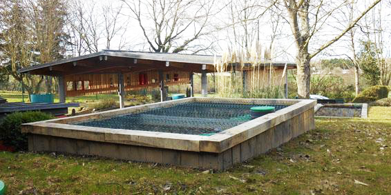 Assainissement écologique de l’eau par les plantes Jardin d'assainissement