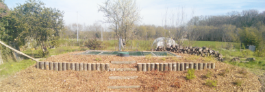 épuration de l'eau par les plantes