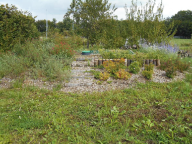 Jardin d'assainissement