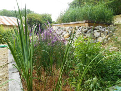 Jardin d'assainissement