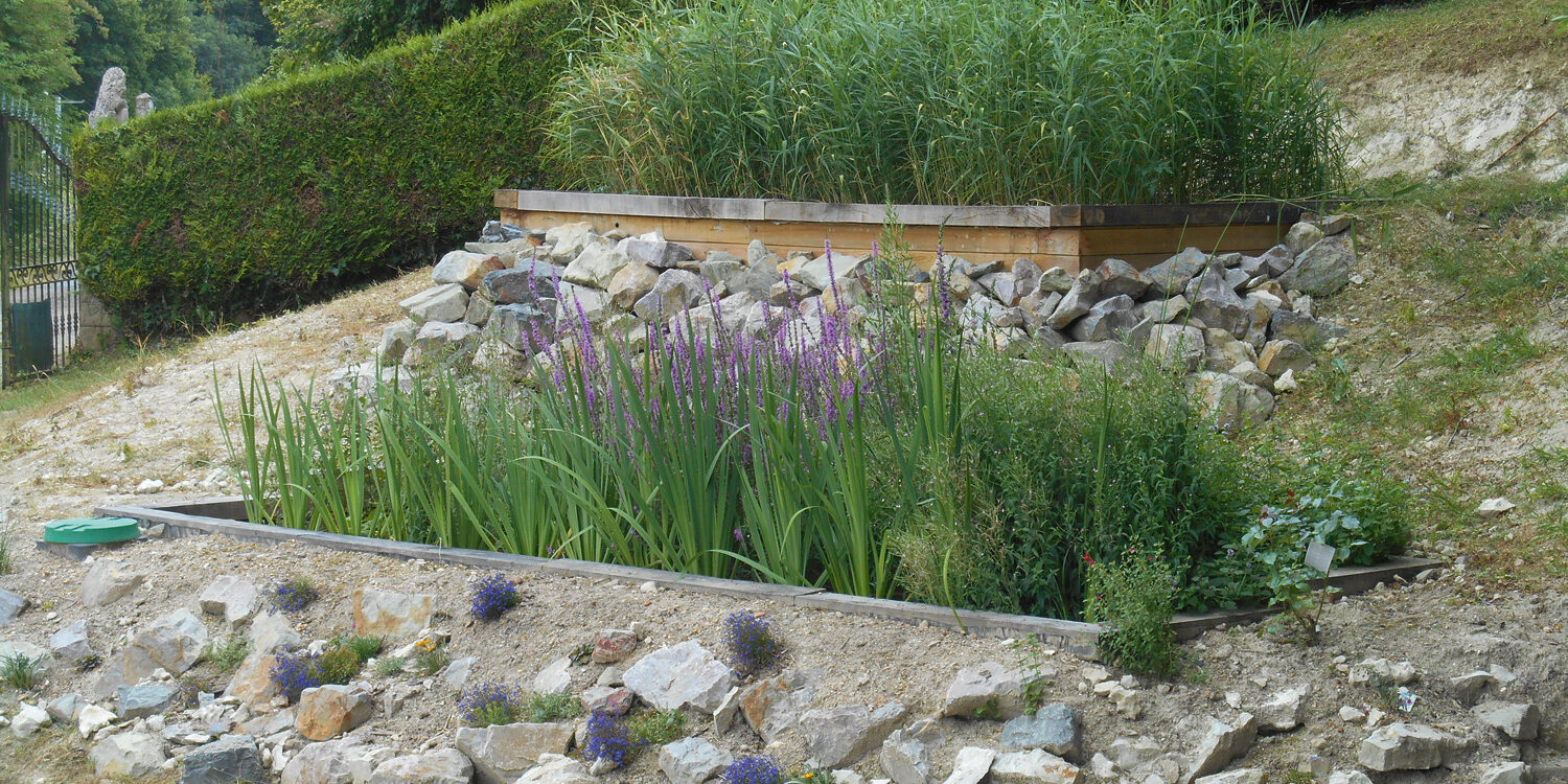 Jardin d’assainissement sur terrain en pente mise en place d'une fosse septique naturelle par votre paysagiste
