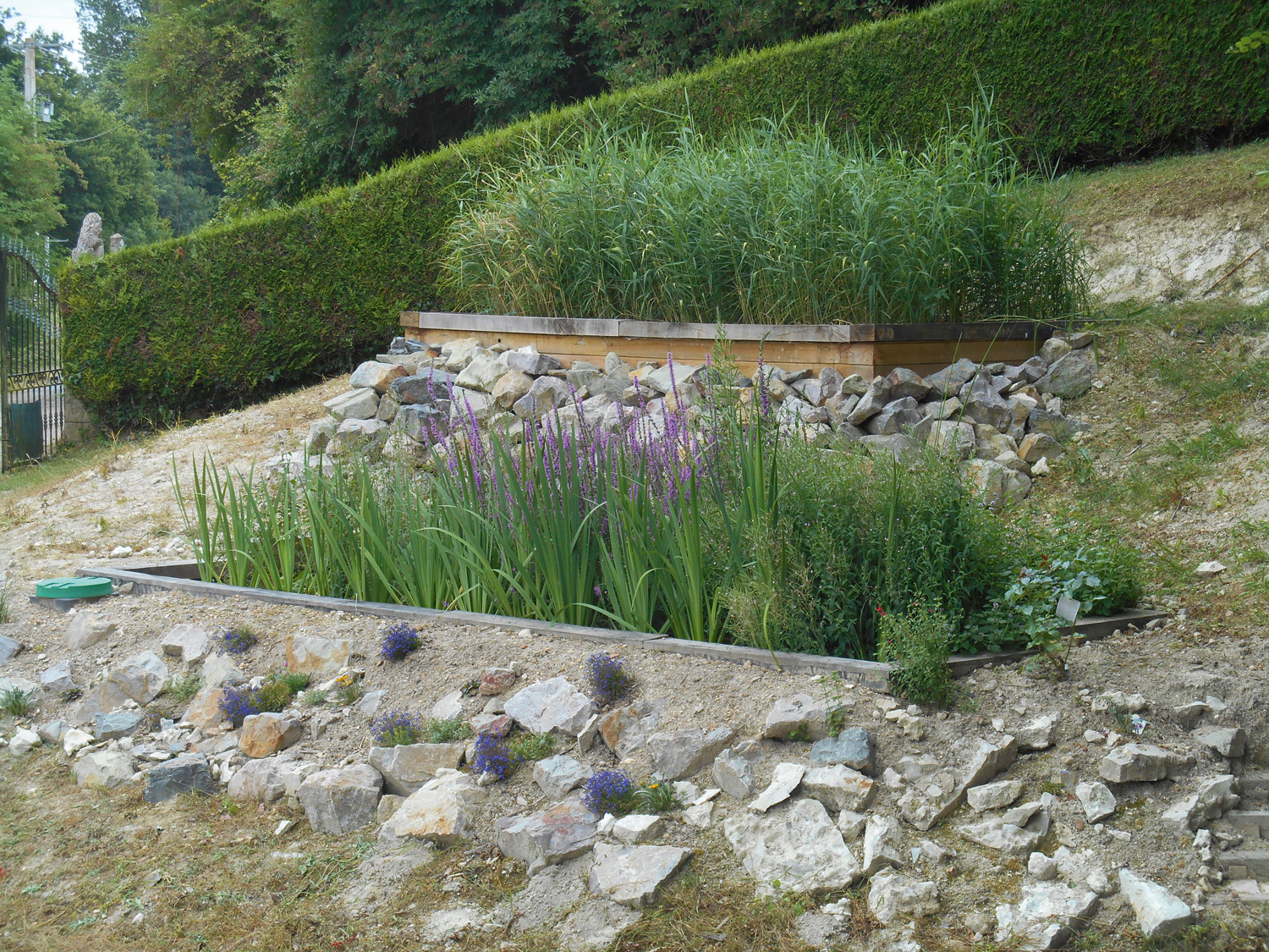 mise en place d'une fosse septique naturelle par votre paysagiste