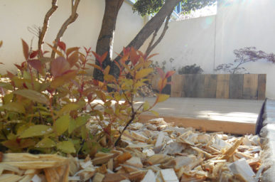 un arbre et des feuilles à l'extérieur d'une maison