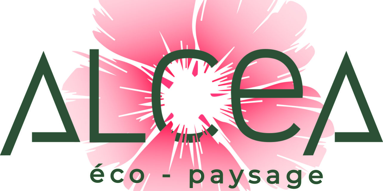 LOGO avec fond blanc