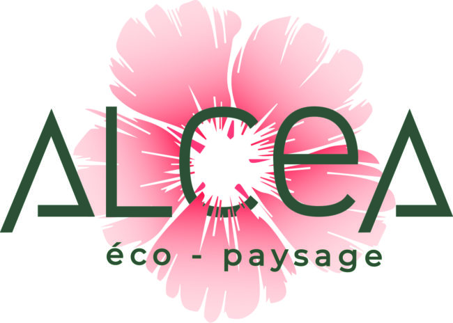 LOGO avec fond blanc