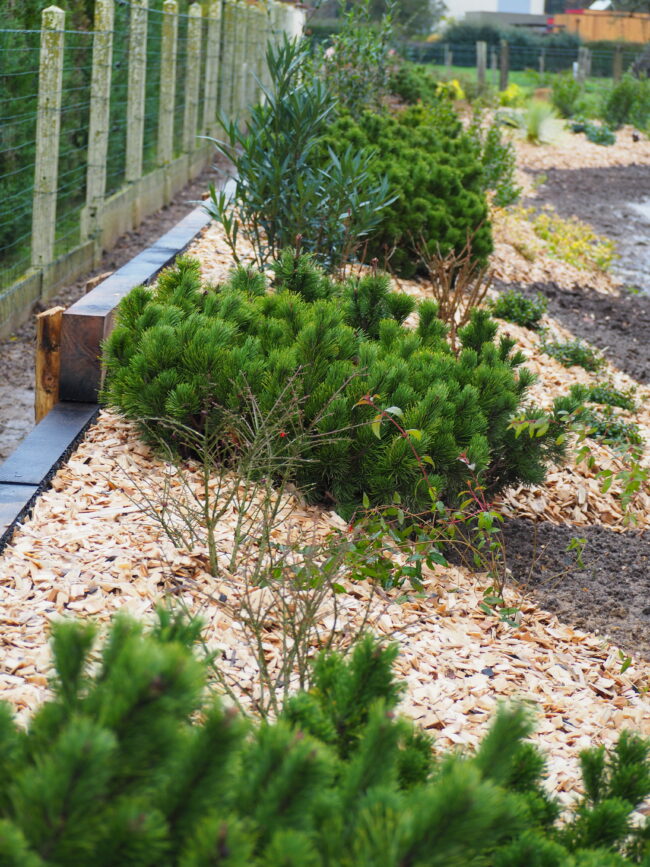 l'extérieur d'une maison avec des arbustes