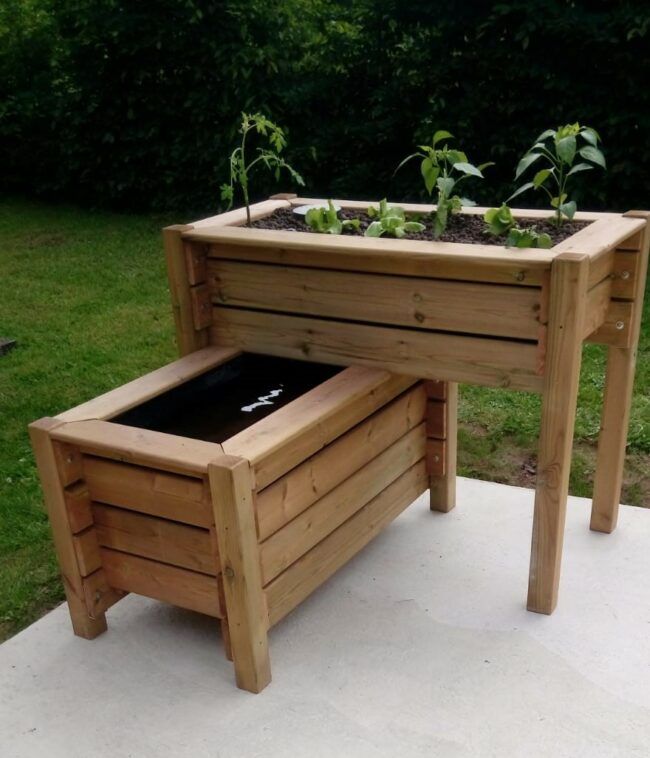 Bassin potager aquaponique