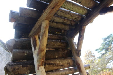 Structure en rondins de bois formant la toiture d’une pergola artisanale, vue en contre-plongée.