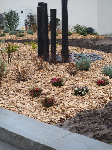 Aménagement paysager avec massifs paillés, fontaine en pierres de schiste et jeunes plantations.