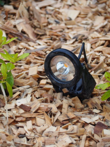 Spot LED d’éclairage de massif installé dans un paillis de copeaux de bois.