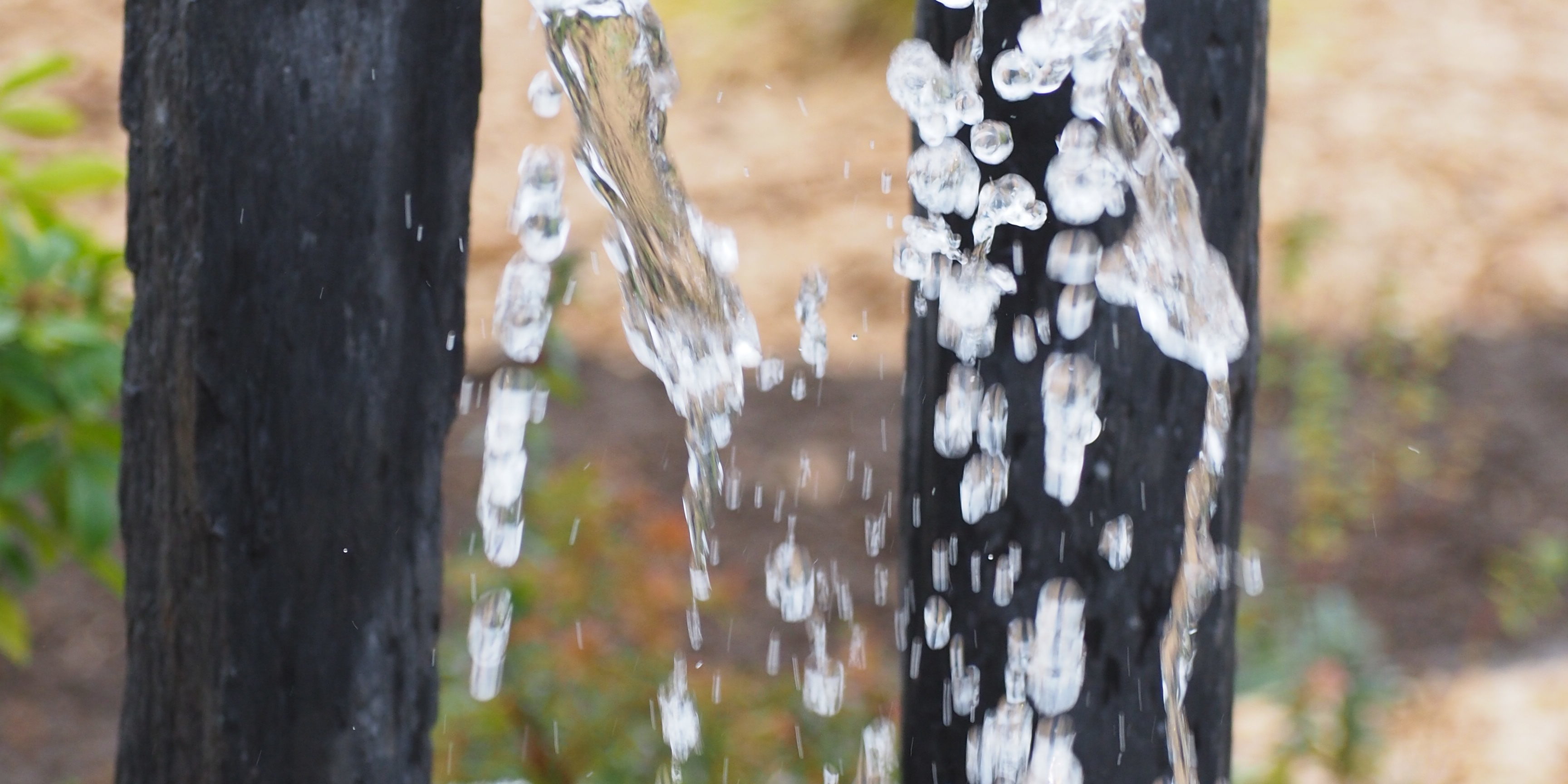 Jet d’eau jaillissant de deux pieux de schiste noirs sur fond de jardin paysager.
