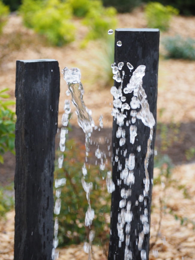 Jet d’eau jaillissant de deux pieux de schiste noirs sur fond de jardin paysager.
