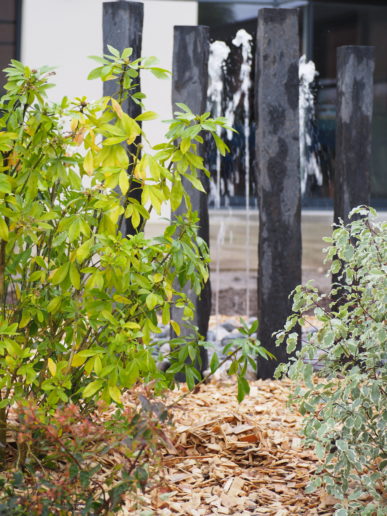 Massif paysager avec arbustes colorés, paillage en copeaux de bois et fontaine design en arrière-plan.