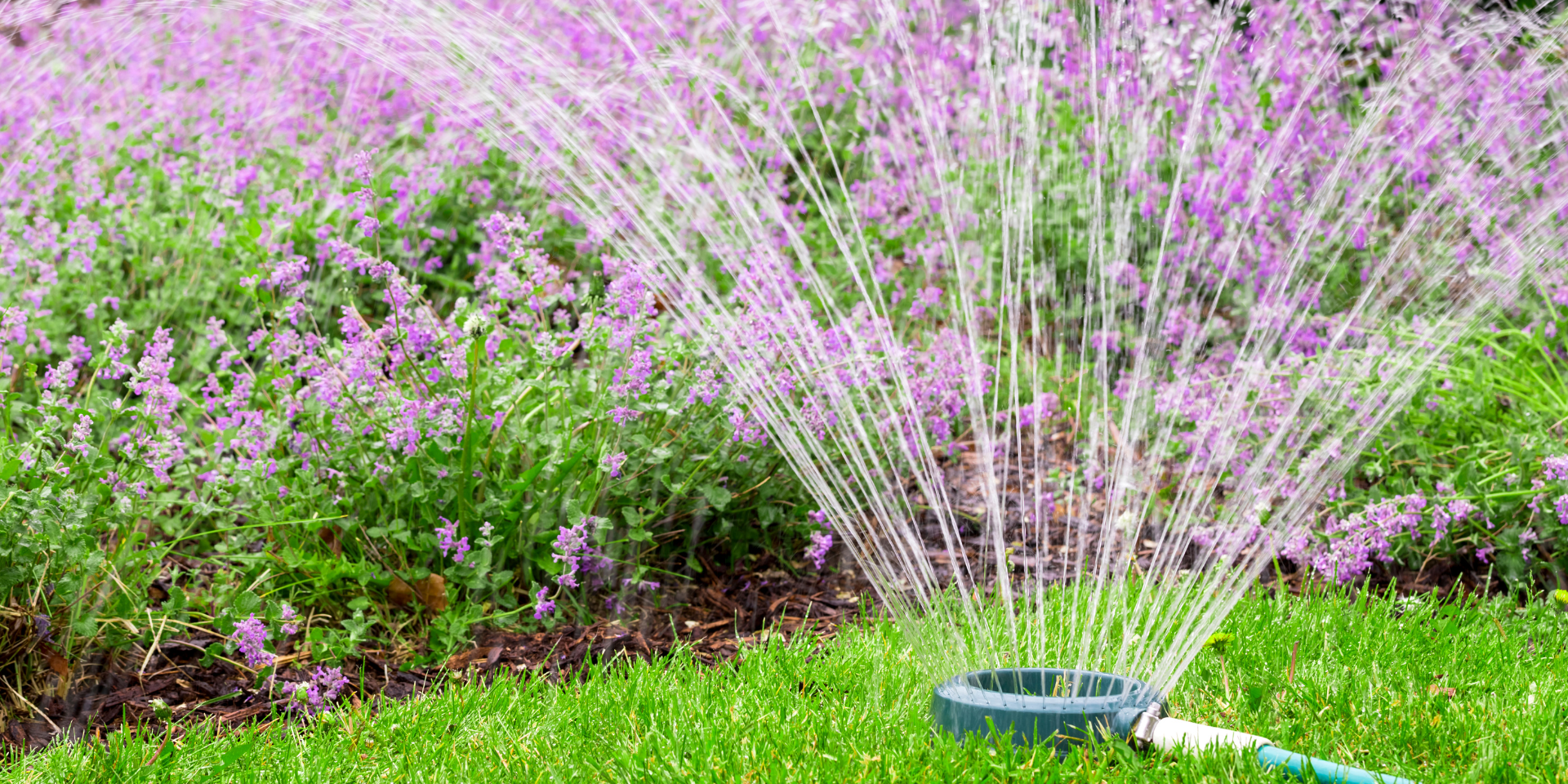 a (2000 × 800 px) (1) tuyeau qui arrose une maison