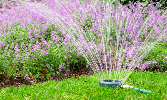 a (2000 × 800 px) (1) tuyeau qui arrose une maison