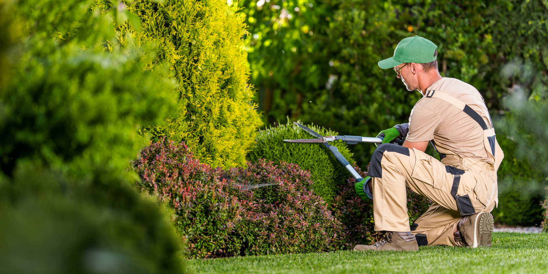 VF (1) un homme qui fait l'entretien d'un jardin