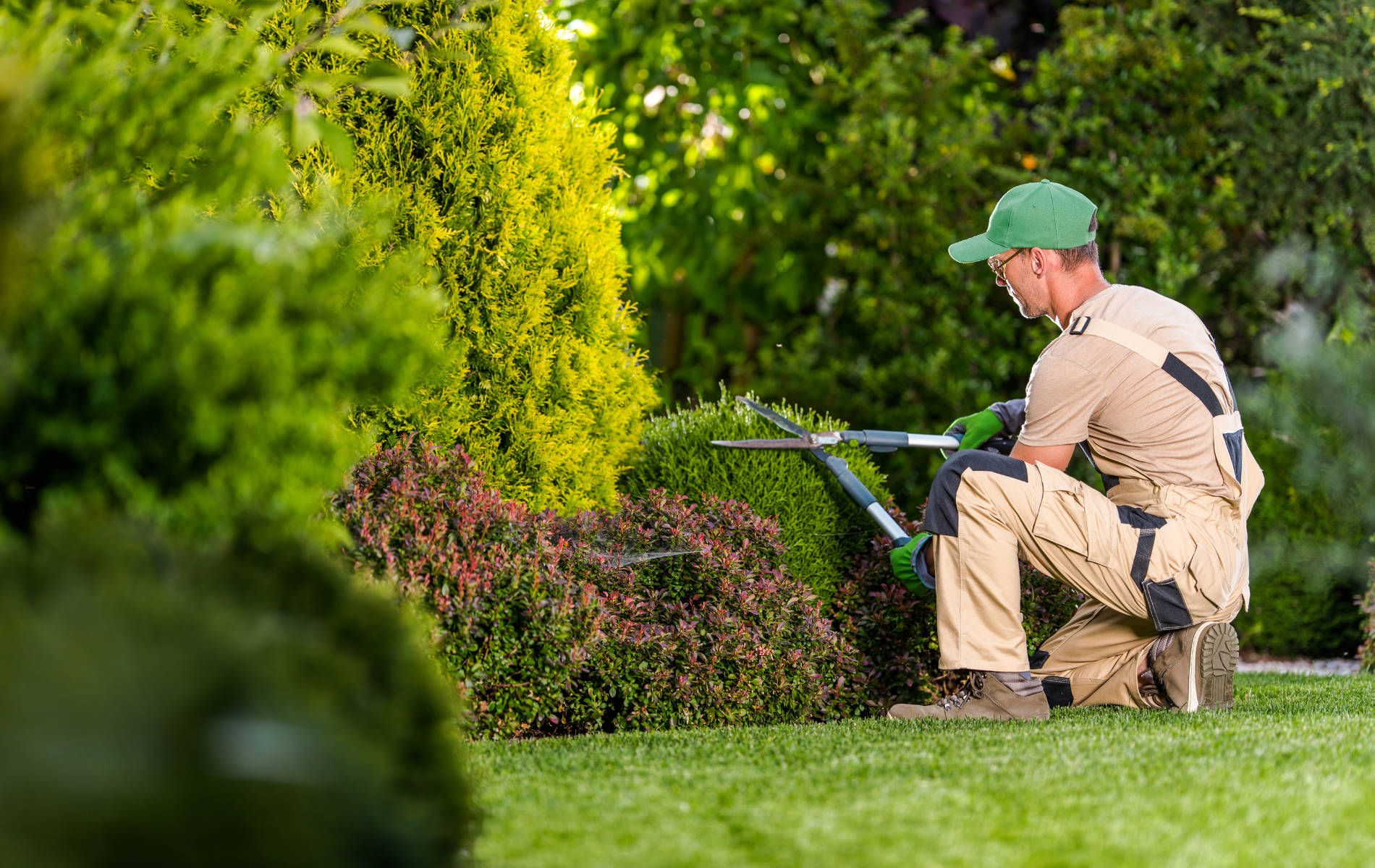 VF (1) un homme qui fait l'entretien d'un jardin