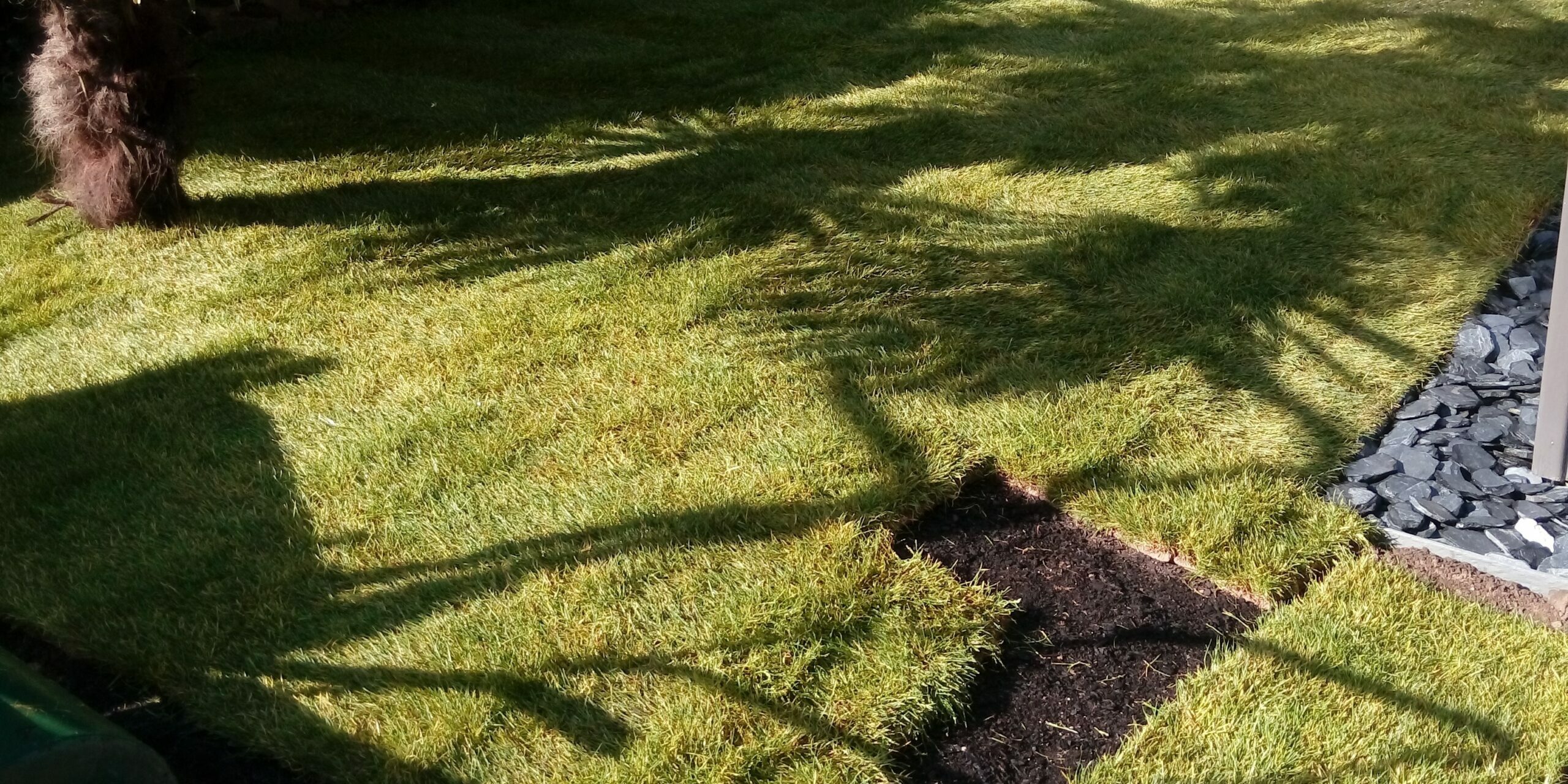 Pose de gazon en rouleau