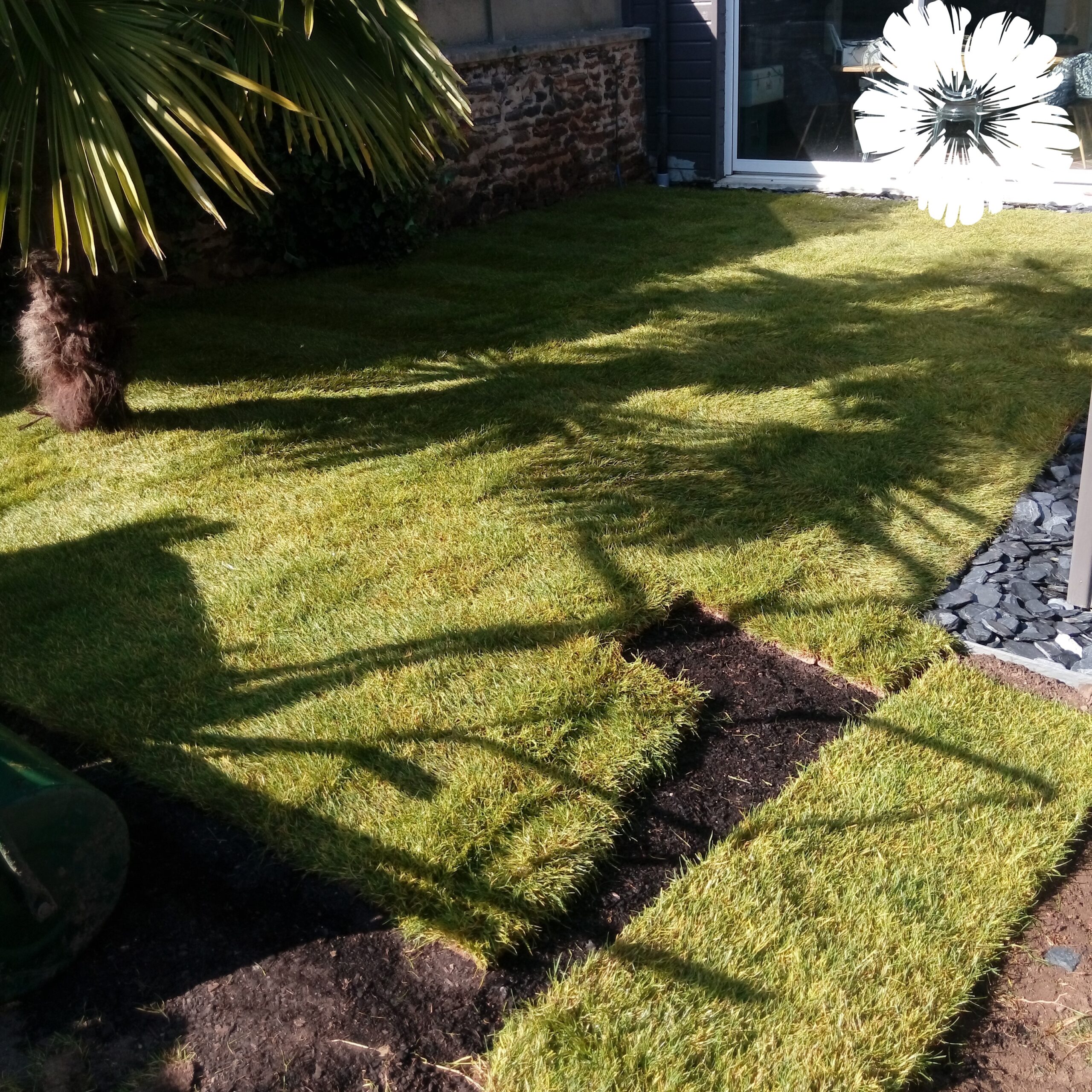 Pose de gazon en rouleau