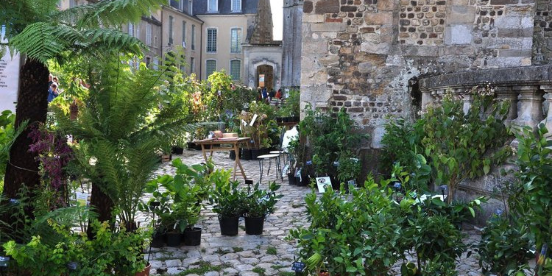 Exposition de plantes et aménagement paysager lors de l’événement "Entre Cours et Jardins" au Mans.