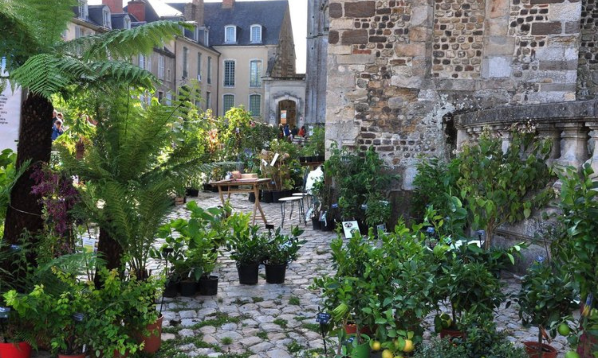 expo-plantes-entre-cours-et-jardins-mans Exposition de plantes et aménagement paysager lors de l’événement "Entre Cours et Jardins" au Mans.