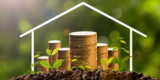 investissement-durable-maison-financement-écologique Piles de pièces de monnaie poussant dans la terre avec des jeunes pousses, encadrées par un dessin de maison blanche.