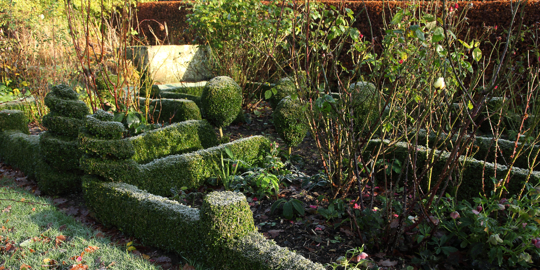 Jardin structuré avec haies taillées et arbustes, préparé pour l’hiver avec un entretien soigné.Jardin structuré avec haies taillées et arbustes, préparé pour l’hiver avec un entretien soigné.