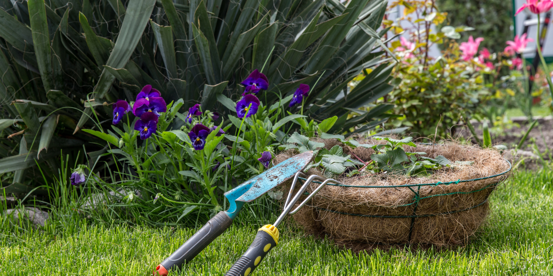 outils-jardinage-plantation Outils de jardinage posés sur l’herbe près d’un panier de plantation, entourés de fleurs et de verdure.