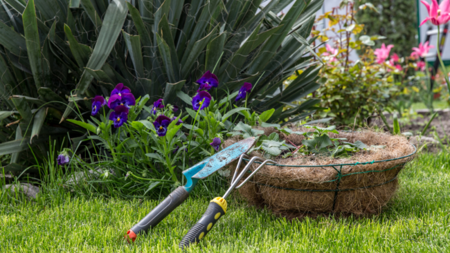 outils-jardinage-plantation Outils de jardinage posés sur l’herbe près d’un panier de plantation, entourés de fleurs et de verdure.