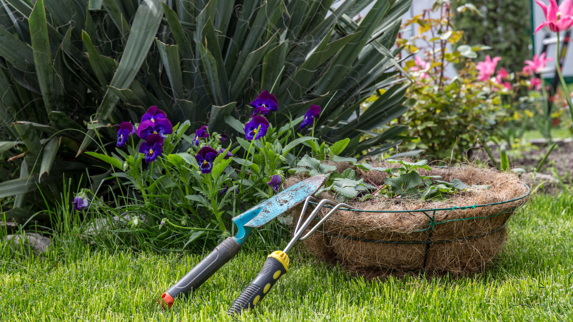 outils-jardinage-plantation Outils de jardinage posés sur l’herbe près d’un panier de plantation, entourés de fleurs et de verdure.
