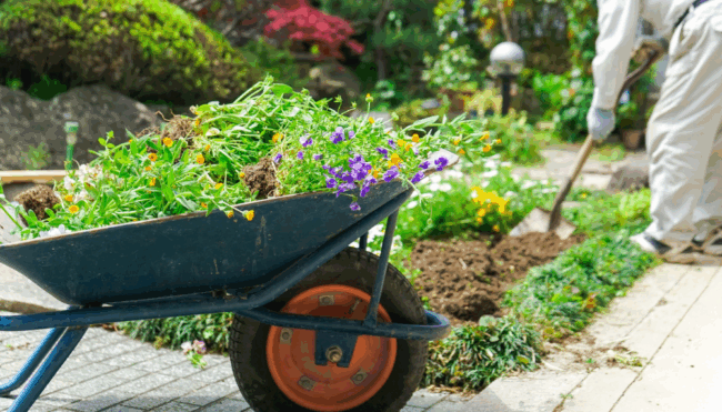 entretien des espaces verts
