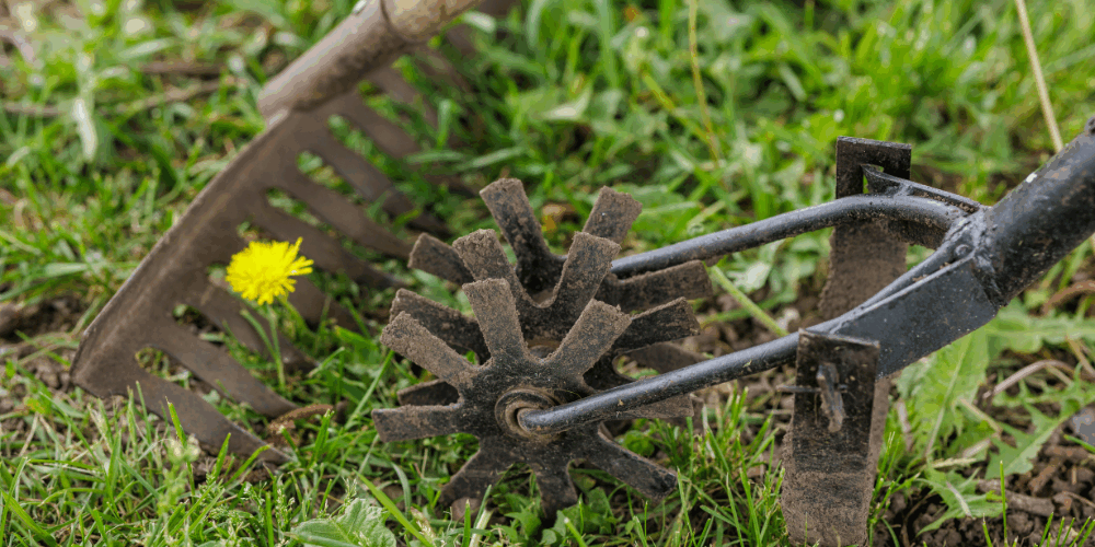 outils pour scarifier une pelouse