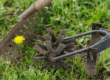 outils pour scarifier une pelouse